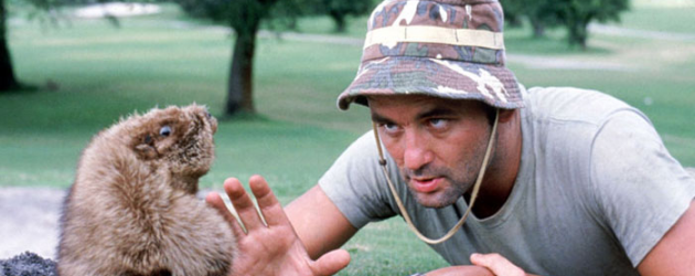 EXCLUSIVE: Bill Murray confirms CADDYSHACK 3 is on the way EXCLUSIVE: Bill Murray confirms CADDYSHACK 3 is on the way