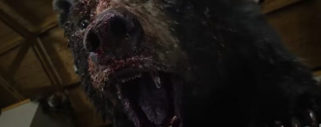 COCAINE BEAR review by Mark Walters – Elizabeth Banks directs this silly and gory romp COCAINE BEAR review by Mark Walters – Elizabeth Banks directs this silly and gory romp